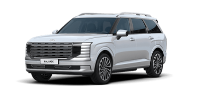 현대 디 올 뉴 팰리세이드